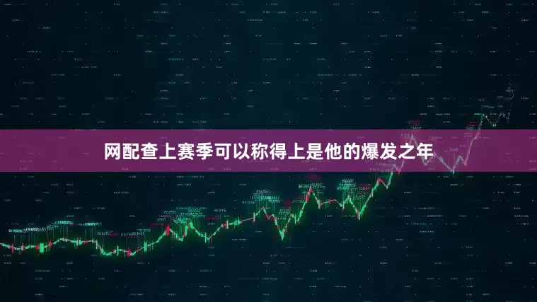 网配查上赛季可以称得上是他的爆发之年