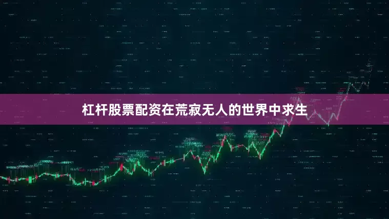 杠杆股票配资在荒寂无人的世界中求生