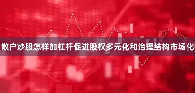 散户炒股怎样加杠杆促进股权多元化和治理结构市场化