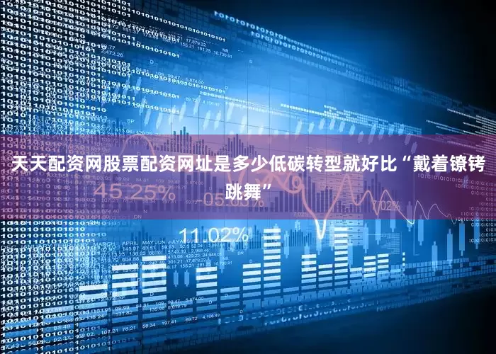 天天配资网股票配资网址是多少低碳转型就好比“戴着镣铐跳舞”