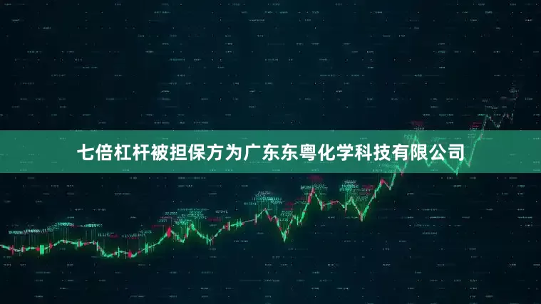 七倍杠杆被担保方为广东东粤化学科技有限公司
