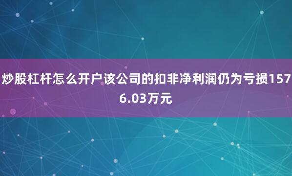炒股杠杆怎么开户该公司的扣非净利润仍为亏损1576.03万元
